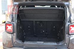 جيب رينيجيد